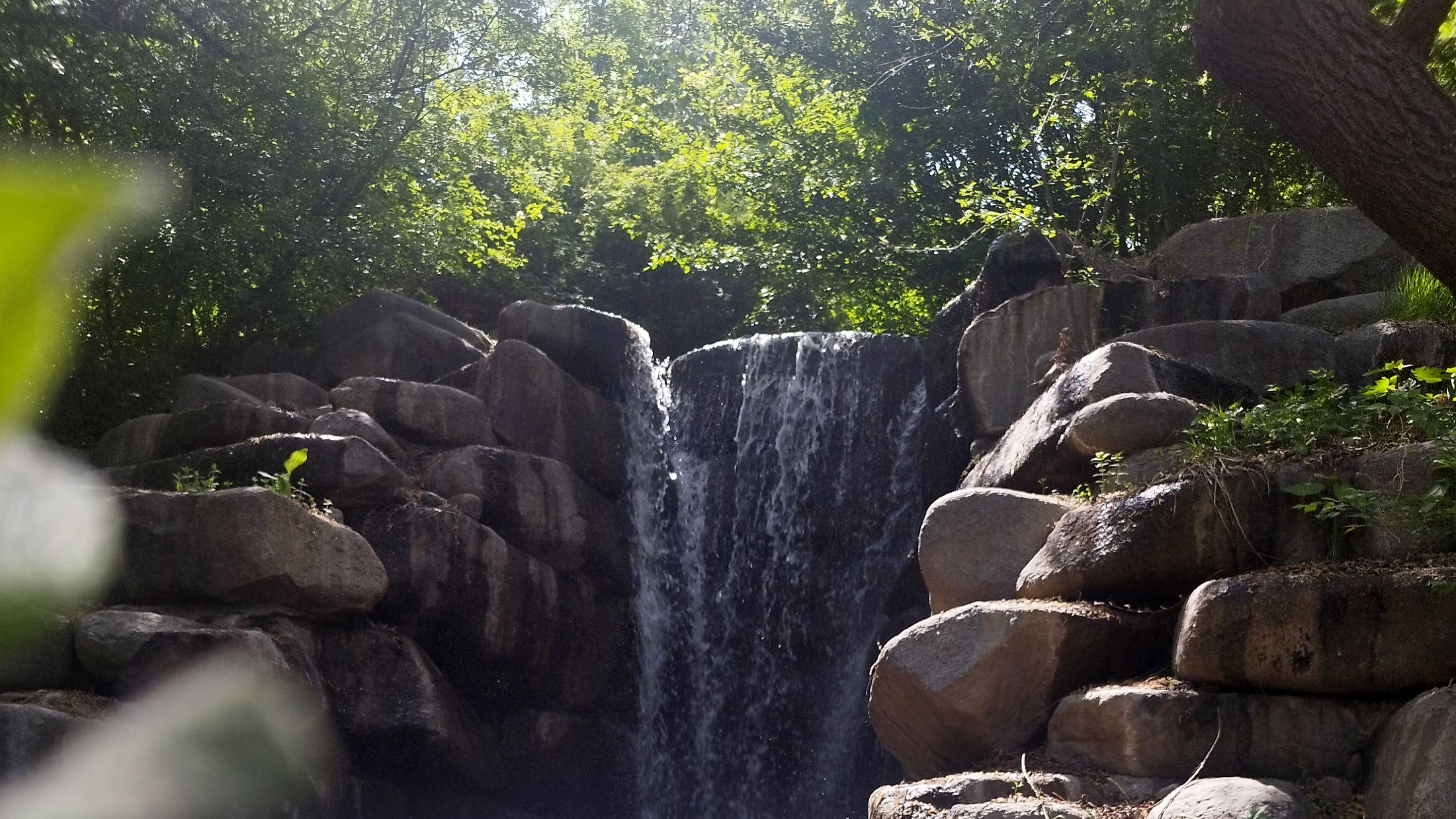 دانش‌آموزان آموزشگاه هیأت امنایی فرزانگان ملارد از باغ گیاه‌شناسی بازدید کردند