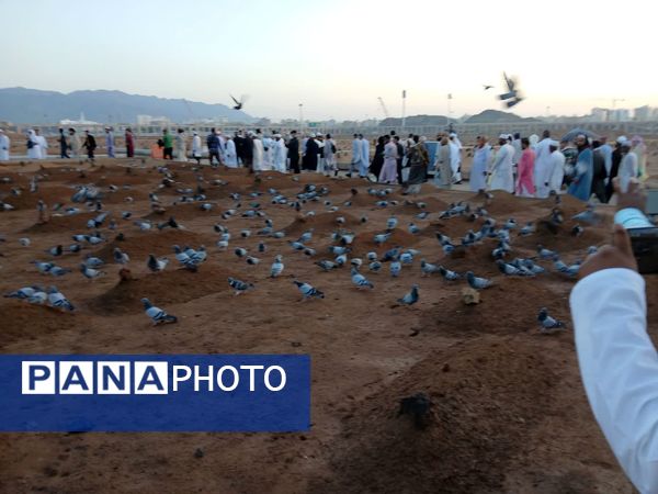 زیارت خبرنگار پانا از قبرستان ائمه بقیع