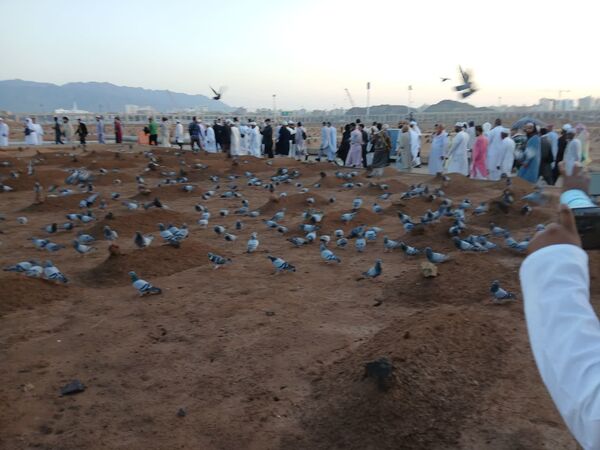زیارت خبرنگار پانا از قبرستان ائمه بقیع