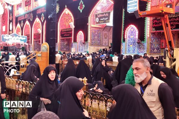 حس و حال دلدادگان حسینی در مسیر نجف و کربلا