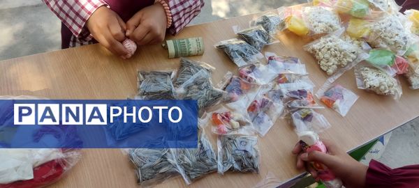 تجربه‌ای عملی برای پرورش کارآفرینان دانش‌آموز