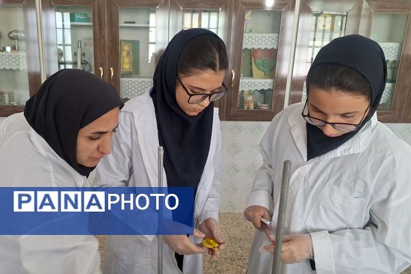 جشنواره خوارزمی فرصتی برای کشف استعدادهای دانش‌آموزان 