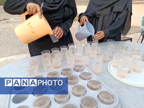 همایش پیاده‌‌‌روی رهروان زینبی