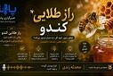 راز طلایی کندو