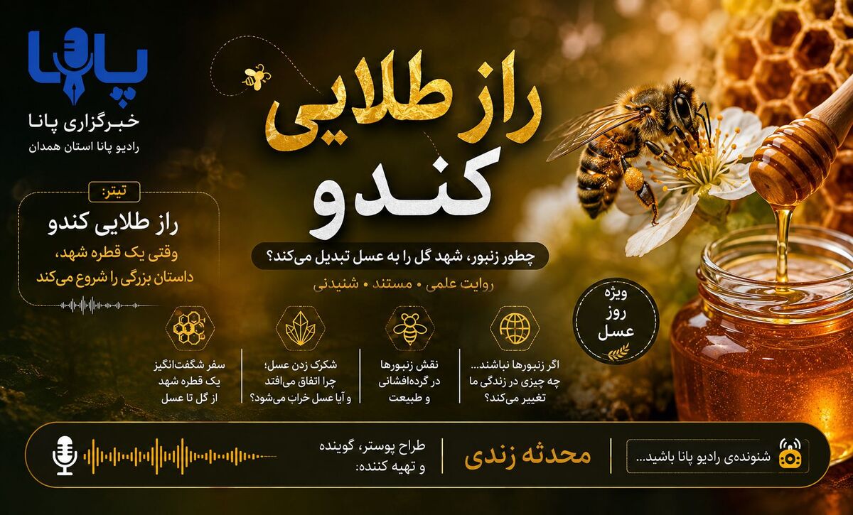 راز طلایی کندو