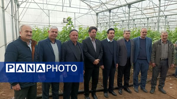 بازدید از گلخانه نمونه خسروشاه در هفته بسیج
