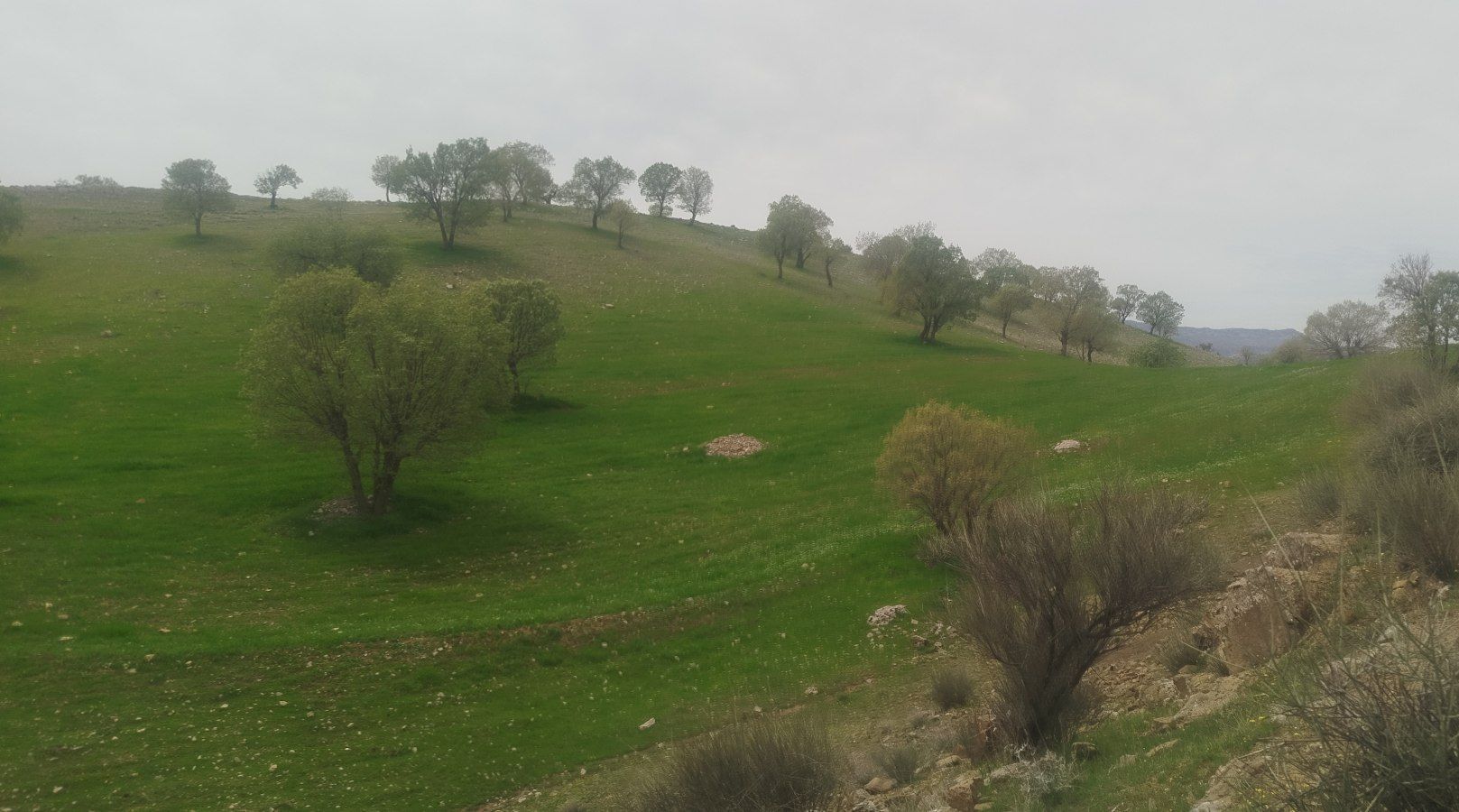 طبیعت دلنشین کوهدشت؛ بهشتی پنهان در دل زاگرس