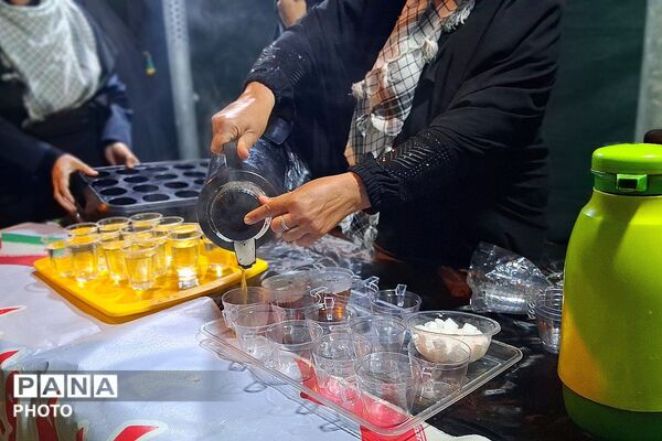 جلوه‌هایی از همبستگی ملی و اتحادی از جنس انتقام در اجتماعات شبانه مردمان باشتی