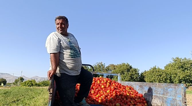 آبیاری نوین؛ نفسی تازه‌ برای زمین‌های کشاورزی روستای  اسلام آباد سملقان 