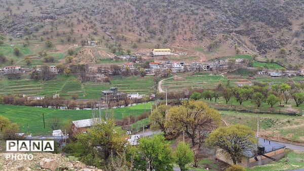 شکوفایی امید 