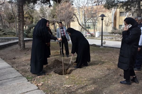 دانشگاه سبز می‌اندیشد