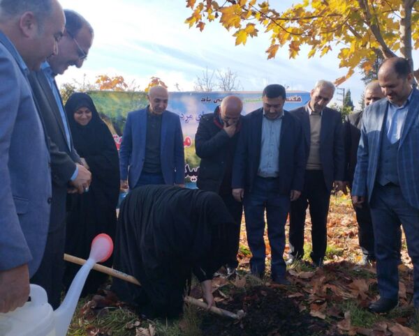 پویش سراسری کاشت نهال در سایه مادر همزمان با ایام ولادت حضرت زهرا (س) در میاندورود 