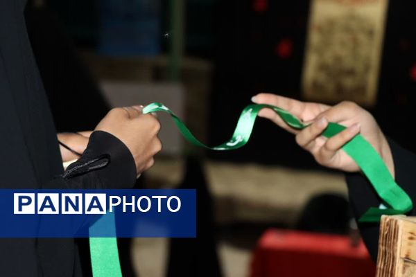 طرح یاوران ولایت پیشگامان