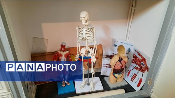 آموزش ماندگار در تجربستان کاوک ناحیه۷ مشهد 