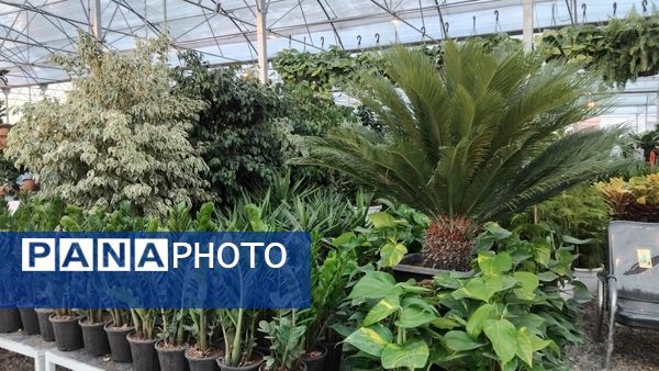 جشنواره گل‌و‌گیاه در محلات