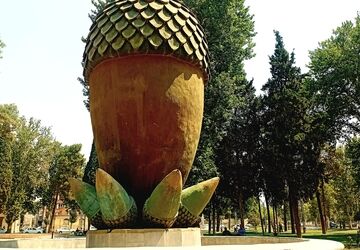 وقتی بلوط قصه می‌گوید 