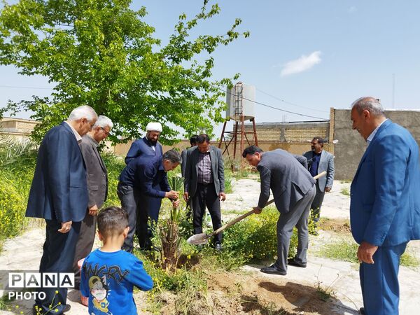 ۴ اصل نخل؛ نماد پاسداشت شهیدان و همدلی در منطقه شیب‌کوه 