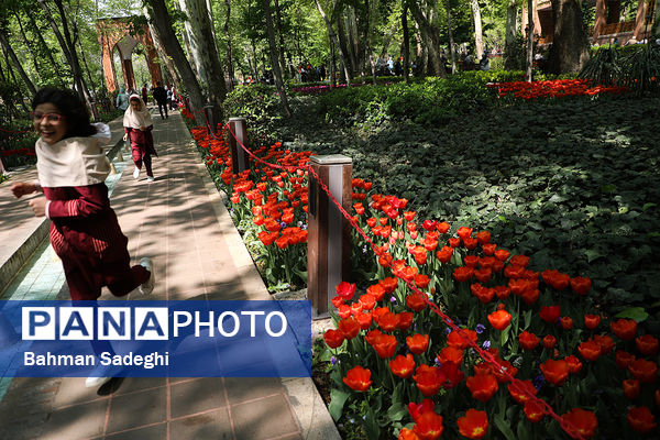 فصل لاله‌ها در بوستان باغ ایرانی