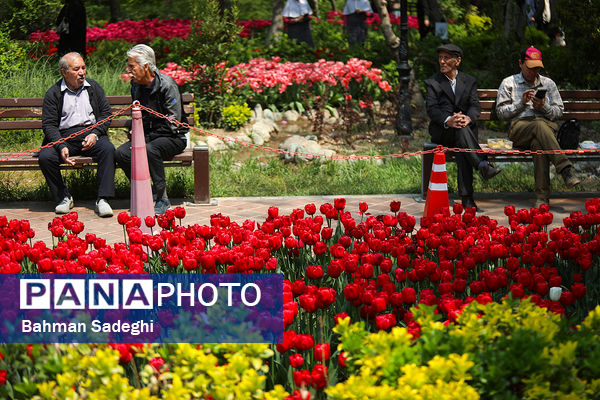 فصل لاله‌ها در بوستان باغ ایرانی