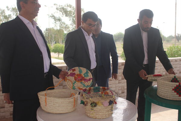 جشنواره غذا و صنایع دستی در اردوی تمشک دختران استان بوشهر