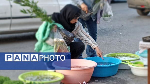 حال و هوای بازار عید نوروز در محمودآباد 