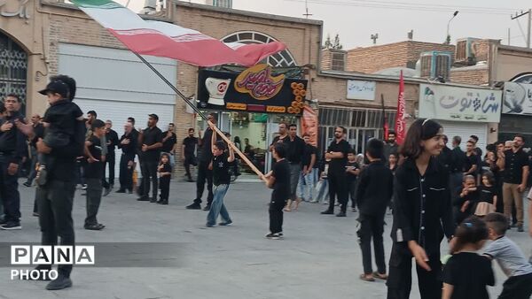 آیین دیرینه نخل برداری آخر ماه صفر در شهرستان تفت