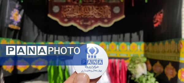 پرستو بی‌نام  در آشیانه شهر دستنا 