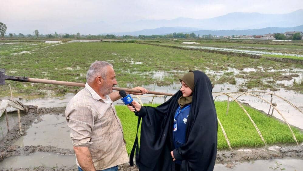 قیمت برنج به‌دست‌آمده در مقایسه با تورم‌ و کالاهای مصرفی کشاورزی همخوانی ندارد