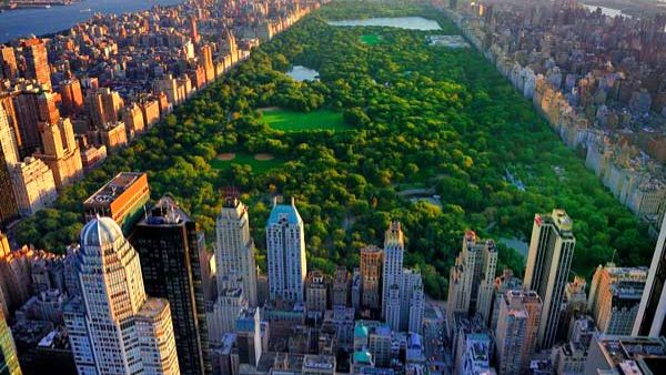 فضای سبز شهری سلامت روان شهروندان را تقویت می‌کند