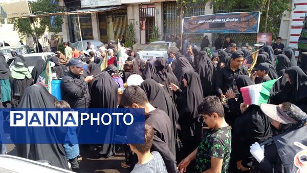 پیاده‌روی جاماندگان اربعین حسینی در یاسوج