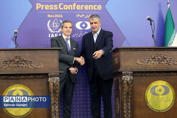  دیدار مدیرکل آژانس انرژی اتمی با رئیس سازمان انرژی اتمی