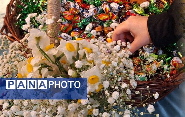 عطر نرگس در دبیرستان طلیعه شاهد پیچید