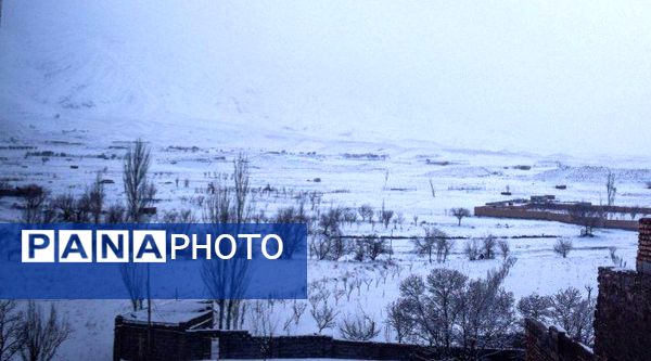 نسر در آغوش برف بهاری؛ زیبایی طبیعت دوچندان شد 