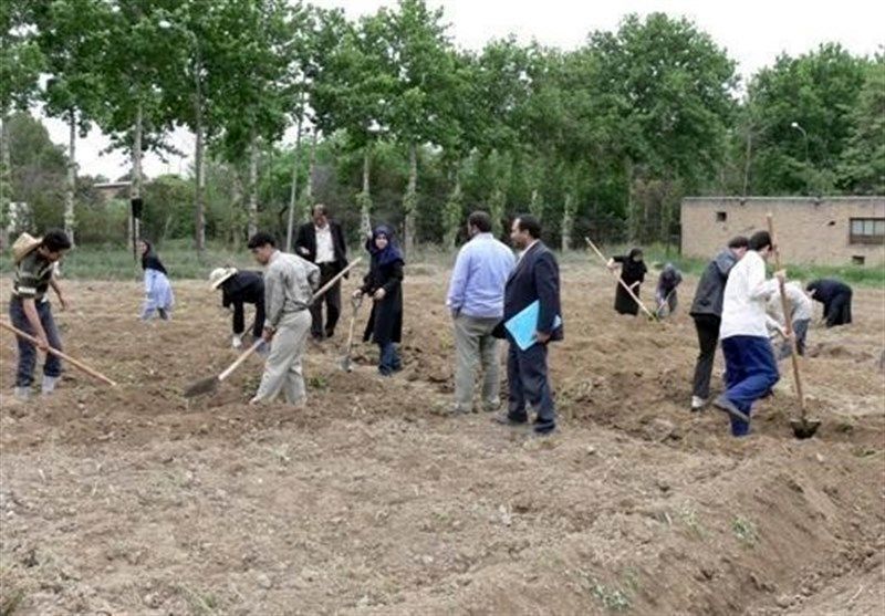 دانش‌آموزان در حین آموزش در هنرستان‌های کشاورزی به شبکه حاکمیتی متصل شوند