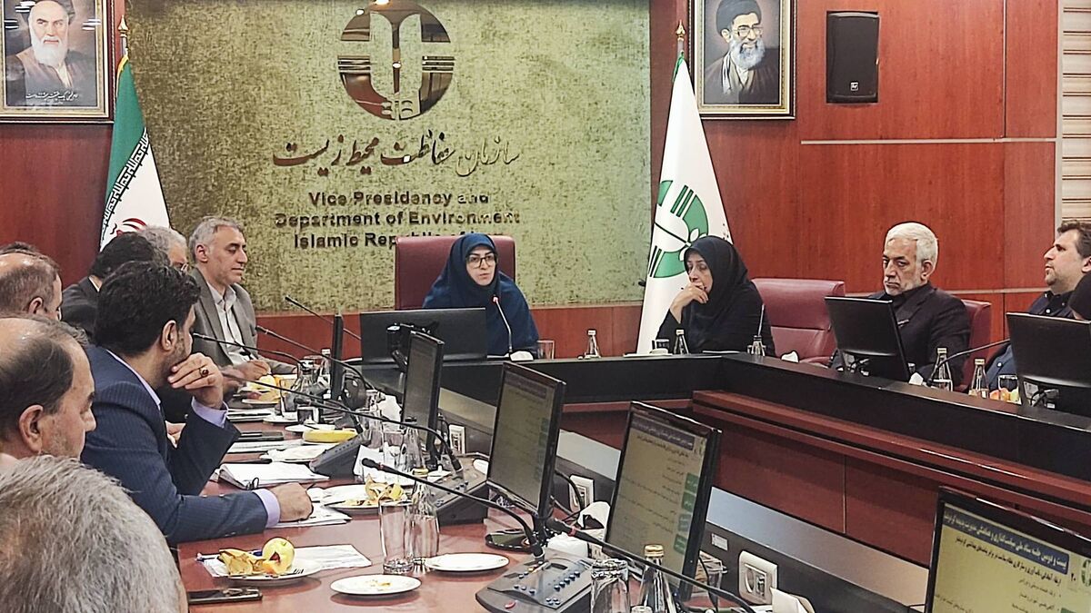 دیپلماسی گرد و غبار باید با حضور متخصصان تقویت شود