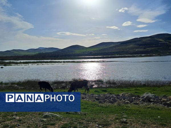 زیبایی های طبیعی شهرستان پاوه به روایت تصویر