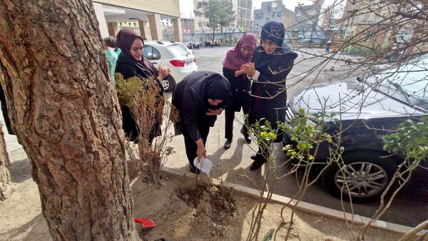 زینت بخشی مدارس شهرستان قدس با کاشت نهال های جوان