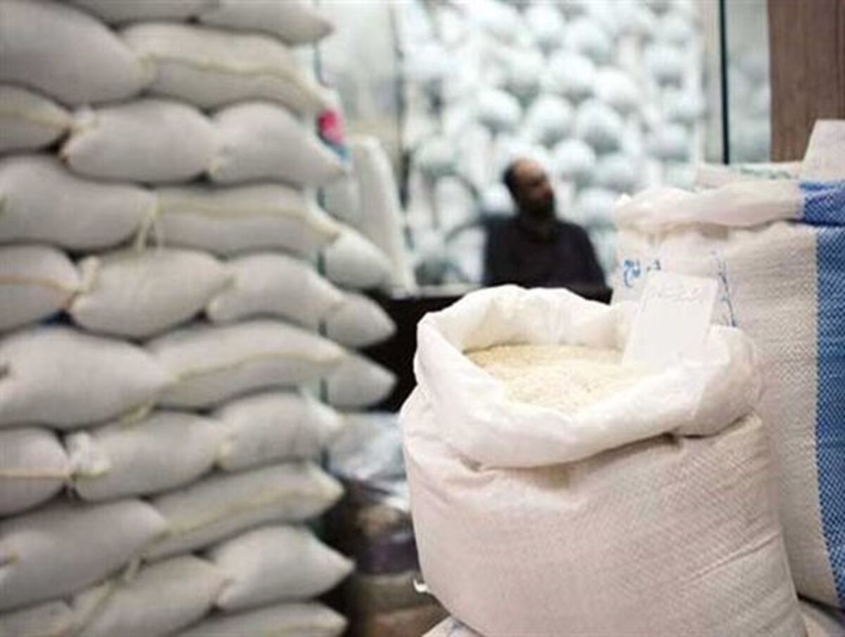 لغو ممنوعیت ترخیص برنج در فصل برداشت