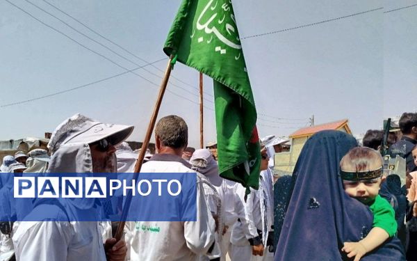 کاروان پیاده انصارالحسین به منطقه خانمیرزا رسید 