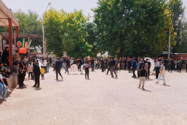 امامزادگان میزبان عزاداران محرم 