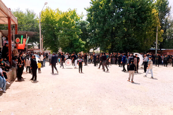 امامزادگان میزبان عزاداران محرم 