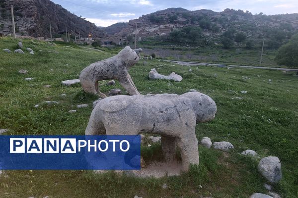 قبرستانی تاریخی و سرسبز به قدمت چند صد ساله در فارس