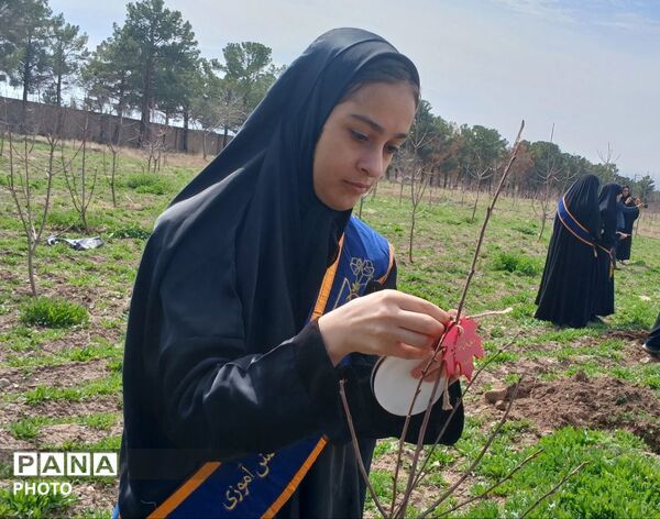 مراسم کاشت نهال در اردوگاه شهید رجایی شهرستان نیشابور