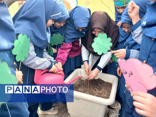 هر ایرانی، یک درخت