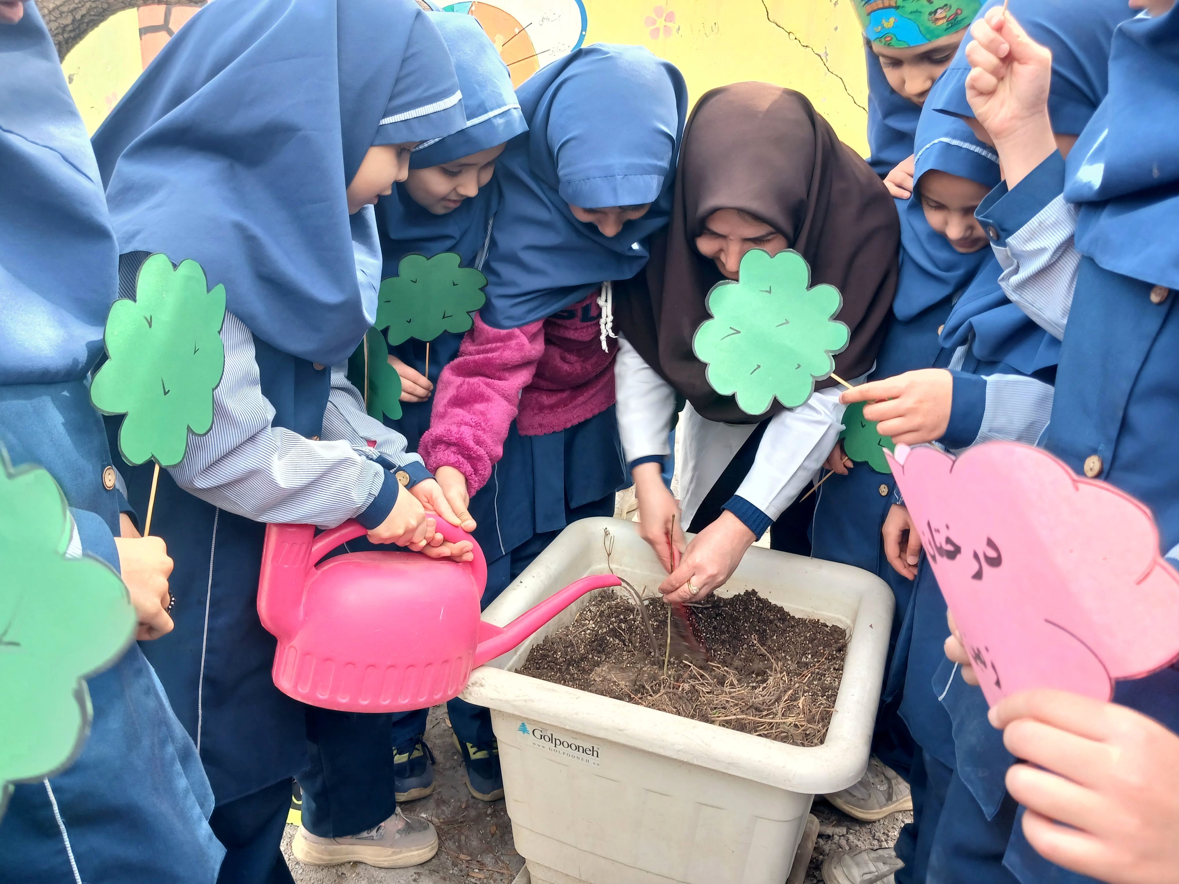 هر ایرانی، یک درخت