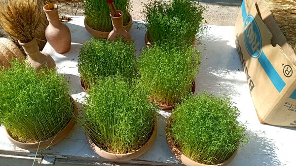 حال و هوای بازار شهرکرد در روز‌های پایانی سال