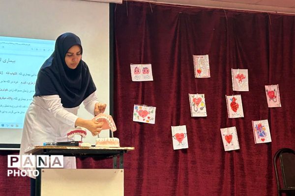 دوره آموزشی آموزگاران پایه مدارس ابتدایی منطقه پردیس