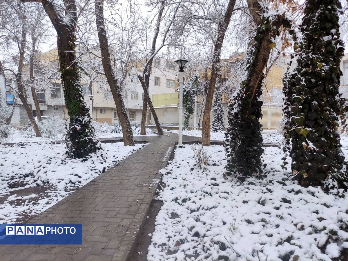 بارش برف و سفید پوش شدن شهر زیبای مشهد