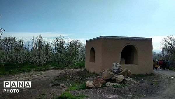 رویش شکوفه ها در روستای عیش آباد
