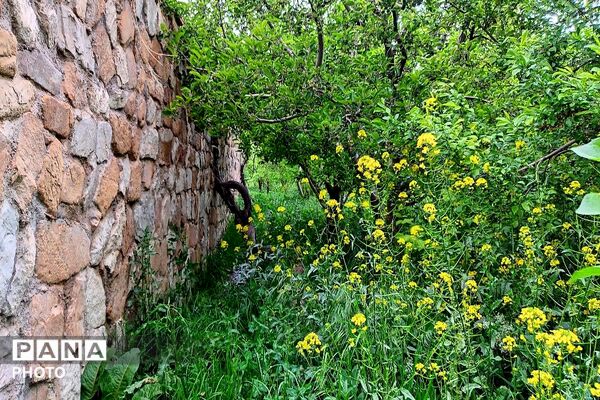 حال و هوای شهر بار بعد از بارش زیبای باران 